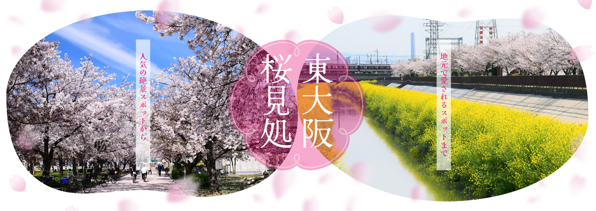 東大阪の桜スポット