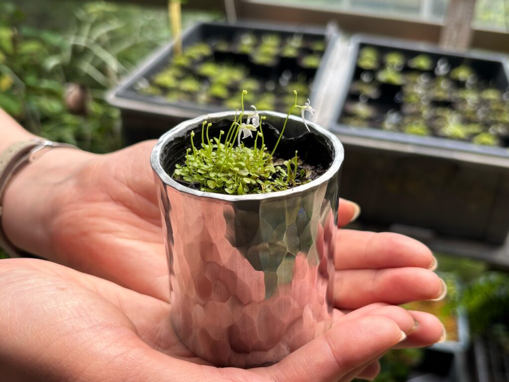 サムネイル写真