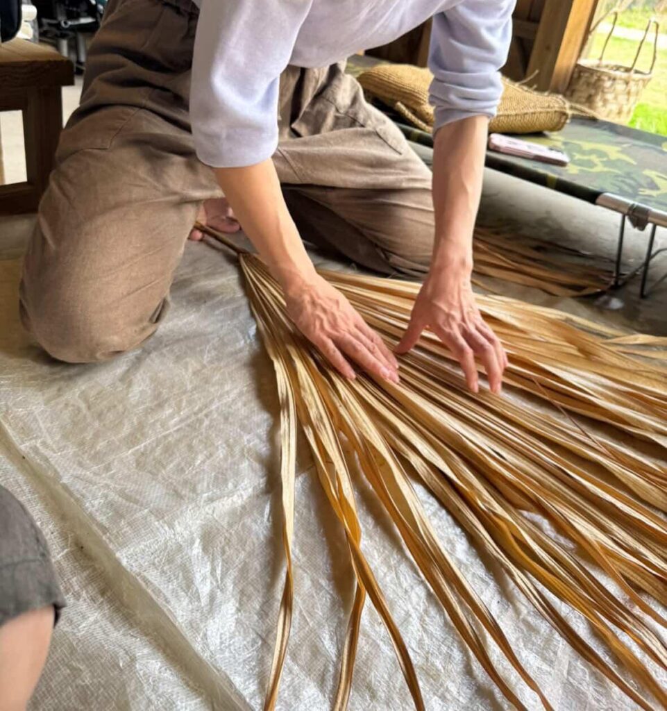 サムネイル写真
