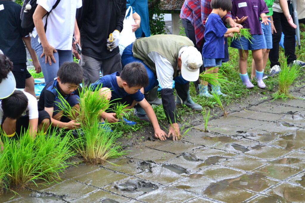 https://pikahiga.jp/wp/wp-content/uploads/2026/05/DSC_0940-1024x683.jpg