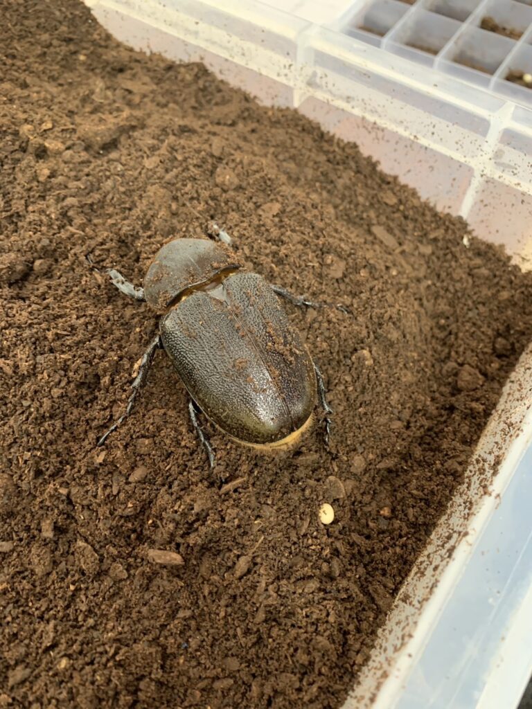 サムネイル写真