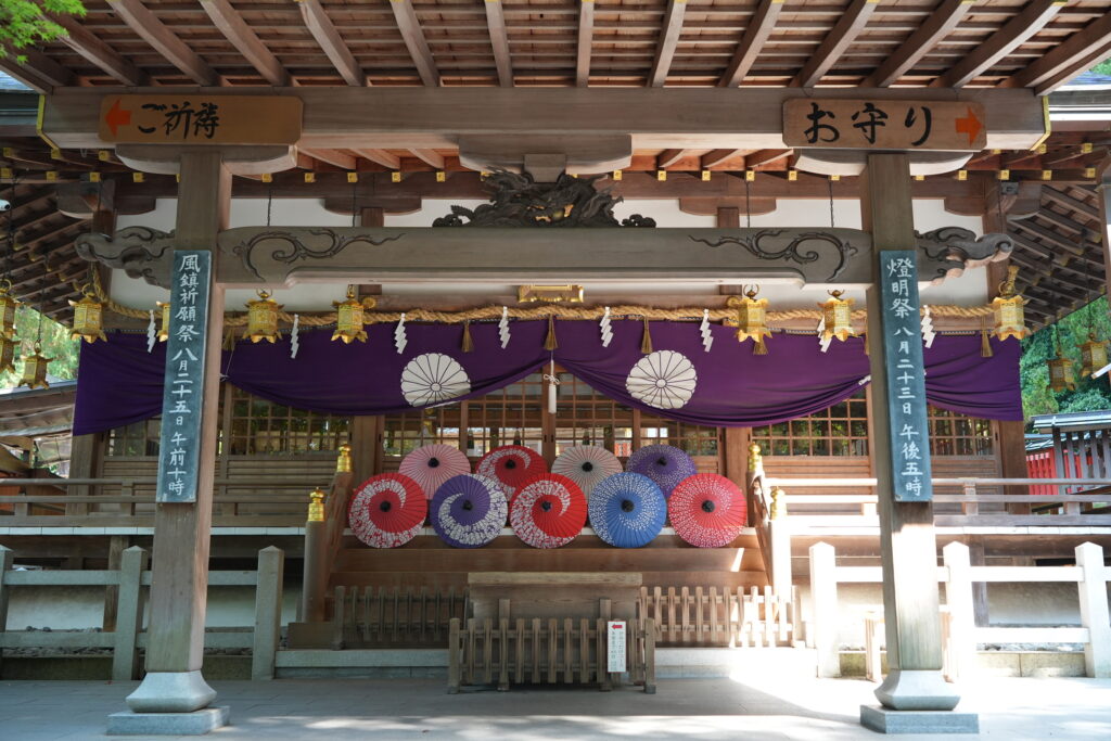 傘蛍展示