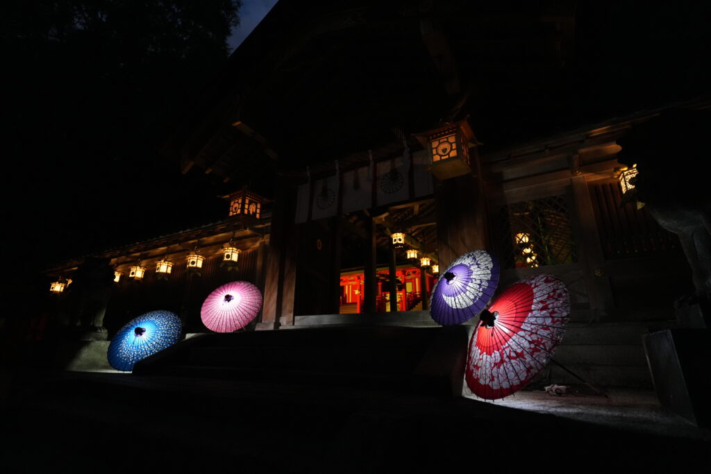 傘蛍展示